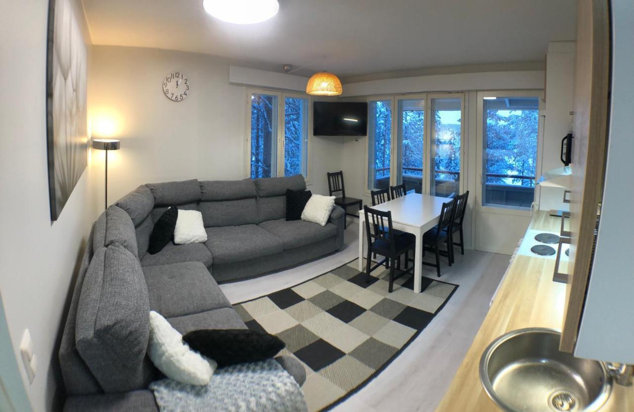 Free Downhill Skiing Ticket 1Pcs Cozy And Very Peaceful Place In Levi 基蒂莱 外观 照片